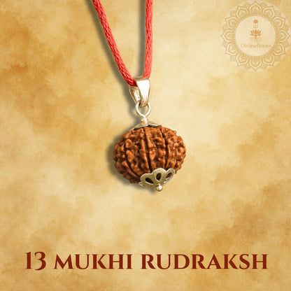 13 Mukhi Rudraksh pendant on a red thread with a gold emblem against a beige background