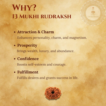 13 Mukhi Rudraksh benefits on a textured brown background with a brand logo.
