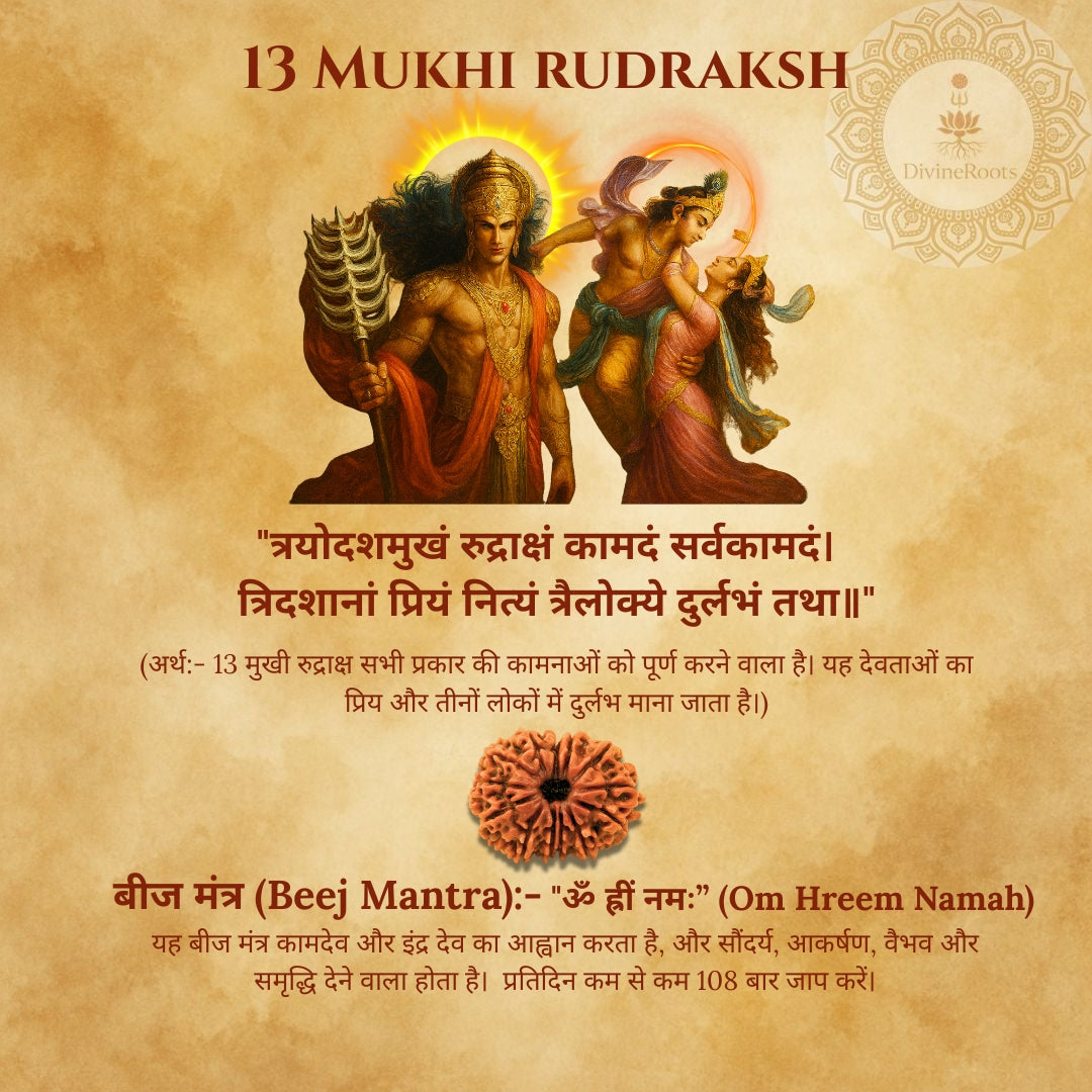 13 Mukhi Rudraksh with deities on a textured background