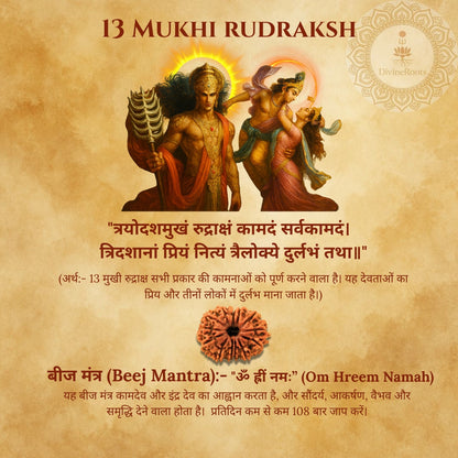 13 Mukhi Rudraksh with deities on a textured background