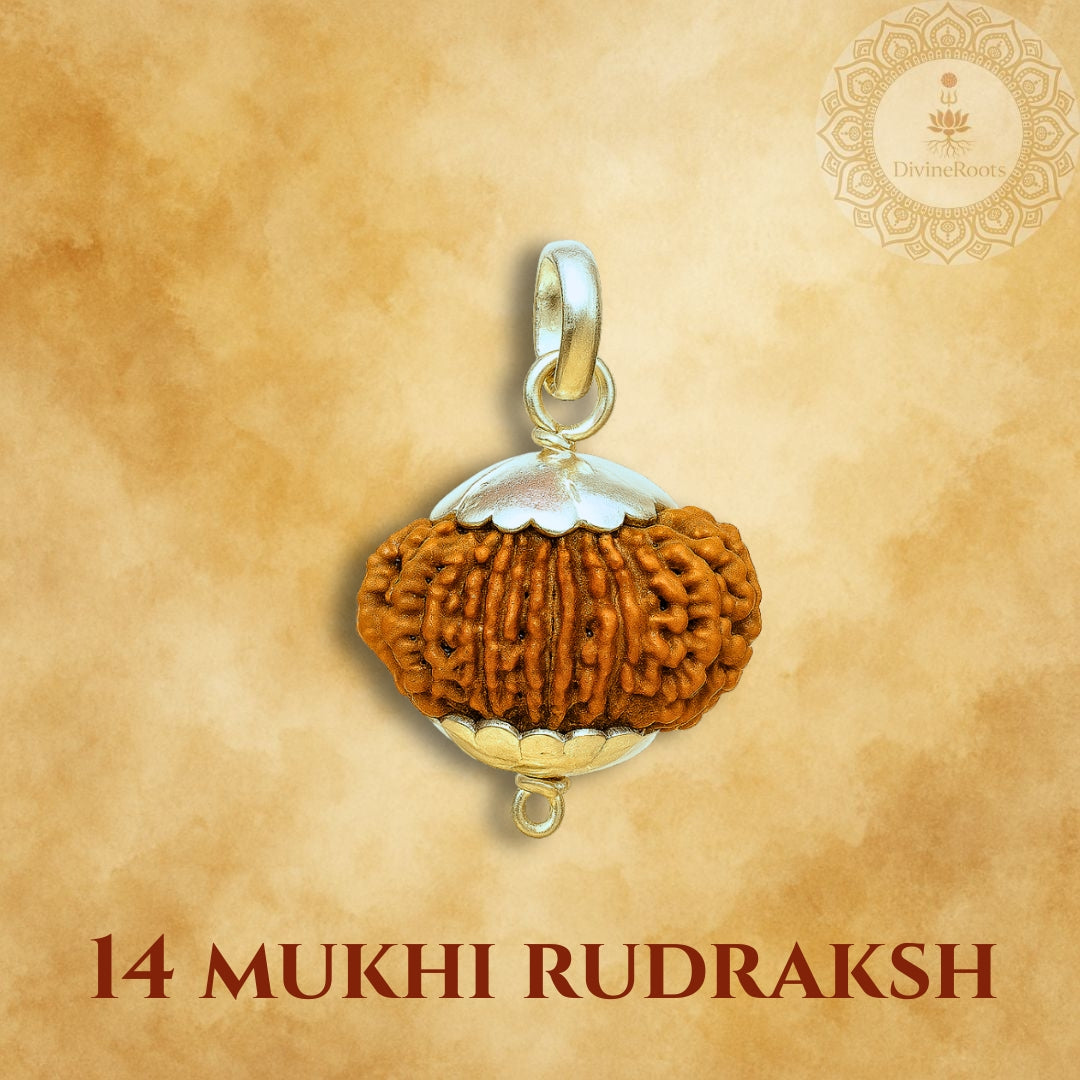 14 Mukhi Rudraksh pendant with silver and gold accents on a beige background