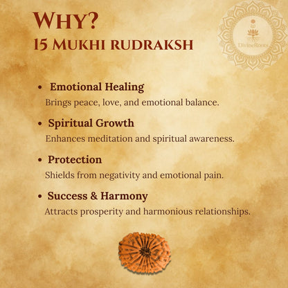 Promotional graphic for 15 Mukhi Rudraksh with benefits listed on a textured background.