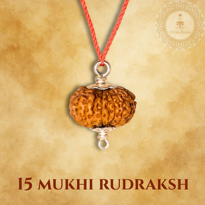 15 Mukhi Rudraksh pendant on a red string with a beige background