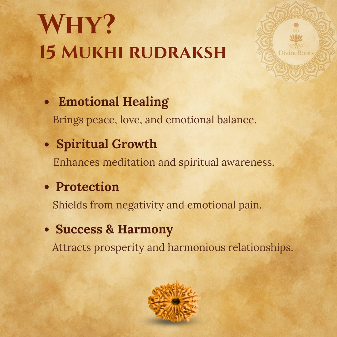 Promotional graphic for 15 Mukhi Rudraksh with benefits listed on a textured background.