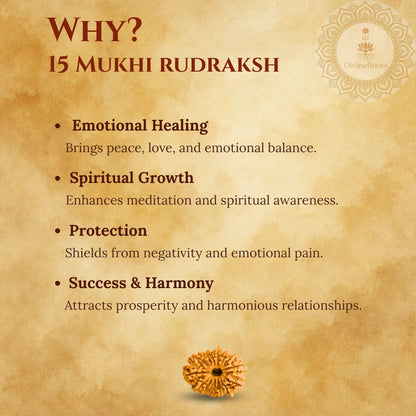 Promotional graphic for 15 Mukhi Rudraksh with benefits listed on a textured background.