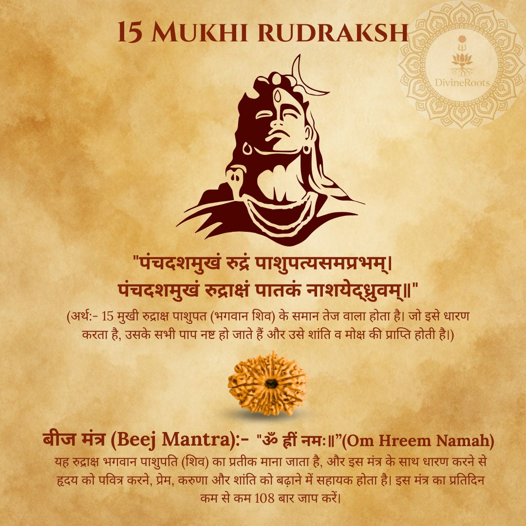 15 Mukhi Rudraksh with Lord Shiva illustration on a textured brown background