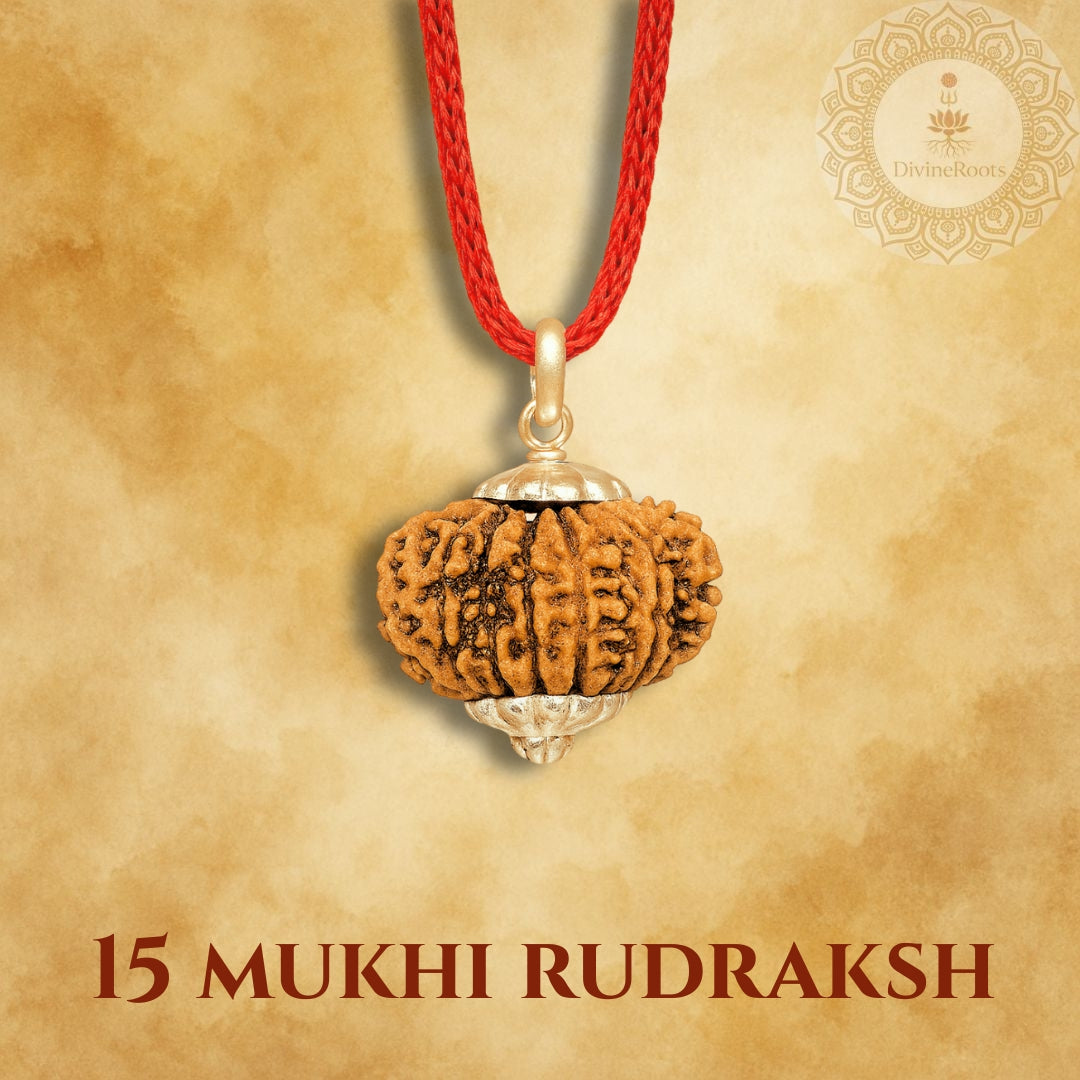 15 Mukhi Rudraksh pendant on a red cord with a beige background