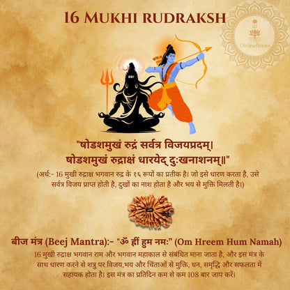 16 Mukhi Rudraksh with Lord Shiva and Vishnu on a textured background