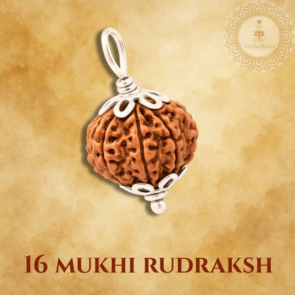 16 Mukhi Rudraksh pendant on a beige background with a brand logo.
