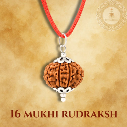 16 Mukhi Rudraksh pendant on a red cord with a beige background