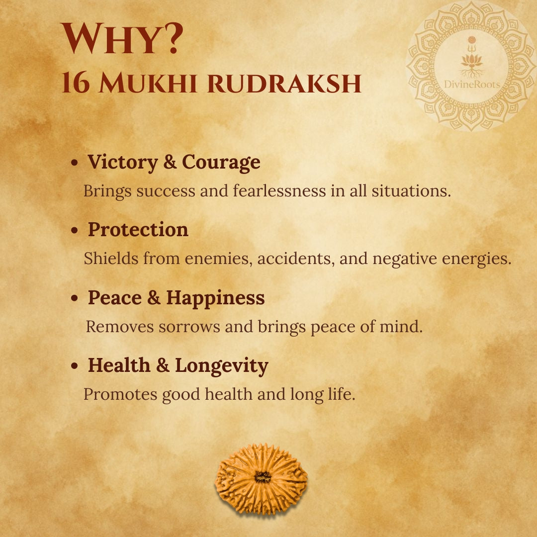 Promotional graphic for 16 Mukhi Rudraksh with benefits listed on a textured background.
