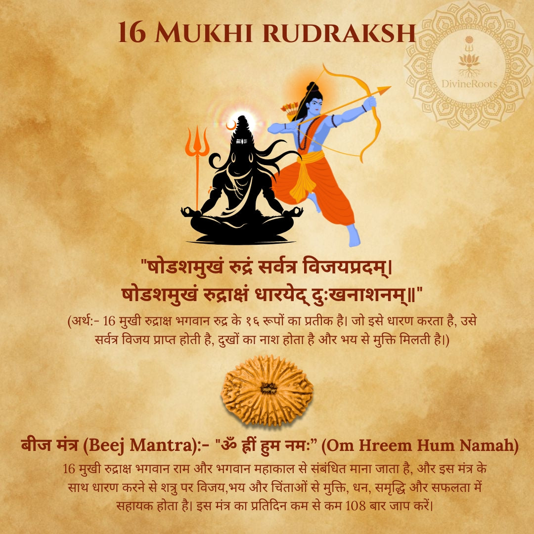16 Mukhi Rudraksh with Lord Shiva and Vishnu on a textured background