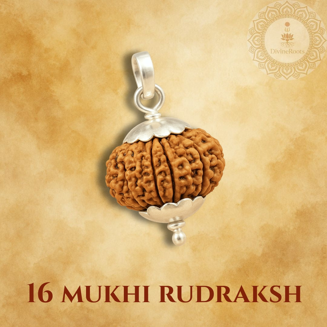 16 Mukhi Rudraksh pendant with silver setting on a beige background