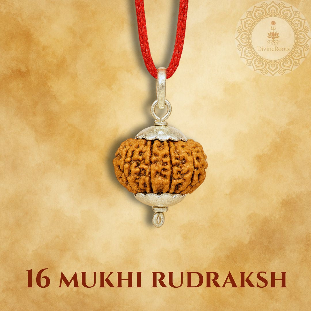 16 Mukhi Rudraksh pendant with red cord on a beige background