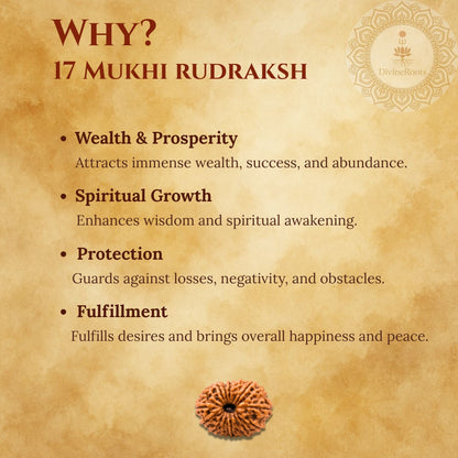 Promotional graphic for 17 Mukhi Rudraksh with benefits listed on a textured background.