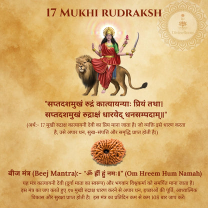 17 Mukhi Rudraksh with a lion and text on a brown background