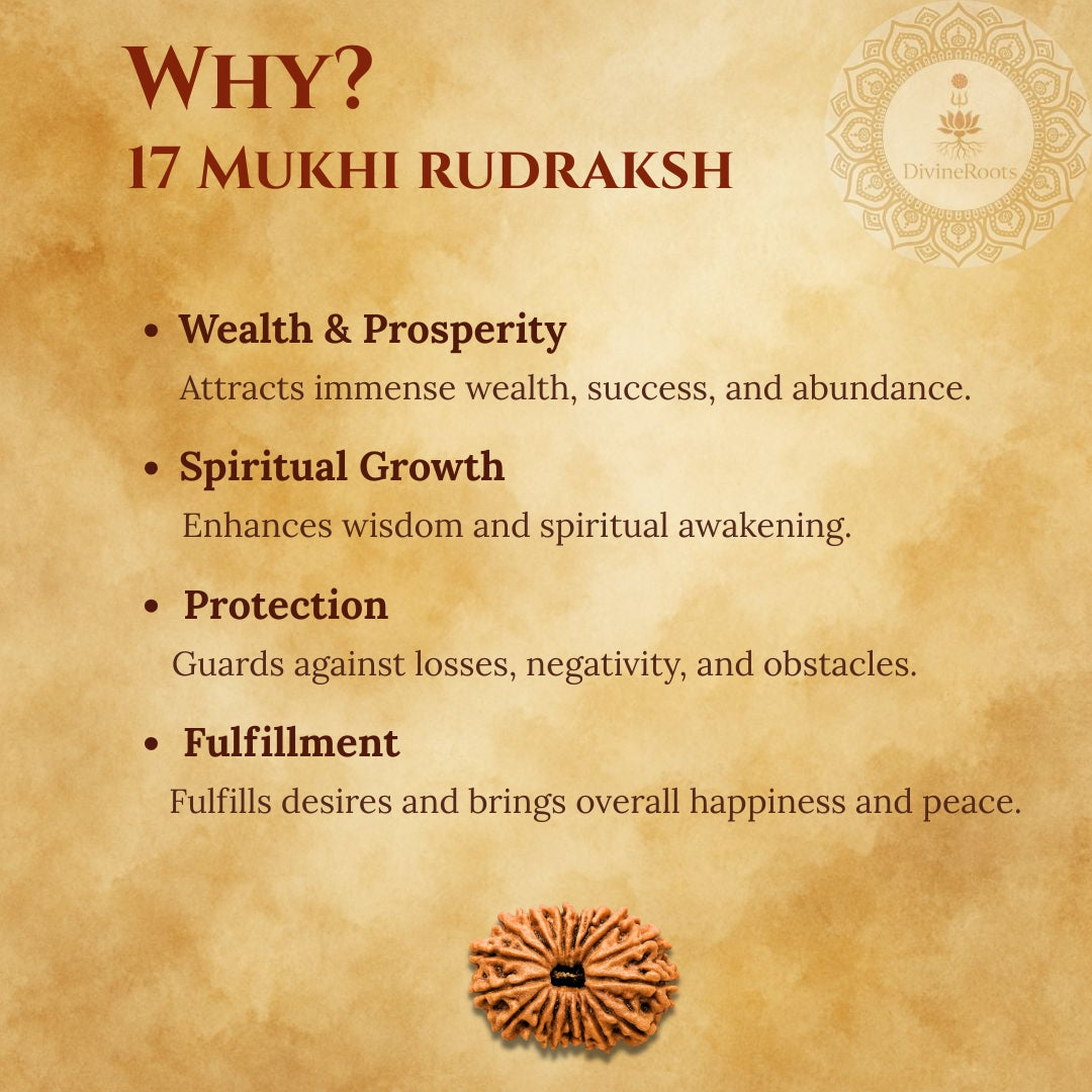 Promotional graphic for 17 Mukhi Rudraksh with benefits listed on a textured background.