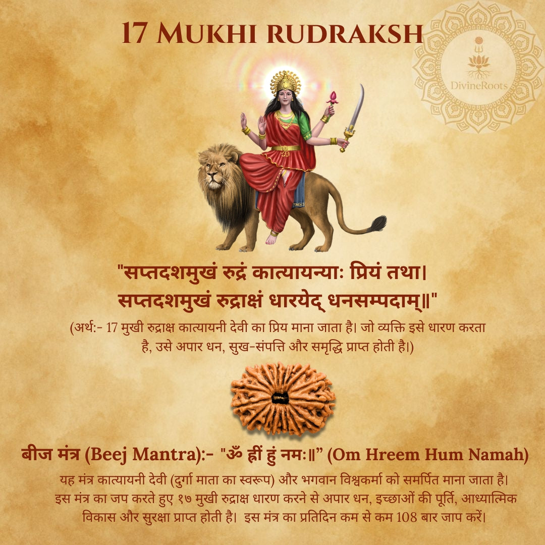 17 Mukhi Rudraksh with a lion and text on a brown background