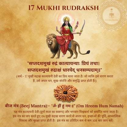 17 Mukhi Rudraksh with a lion and text on a brown background