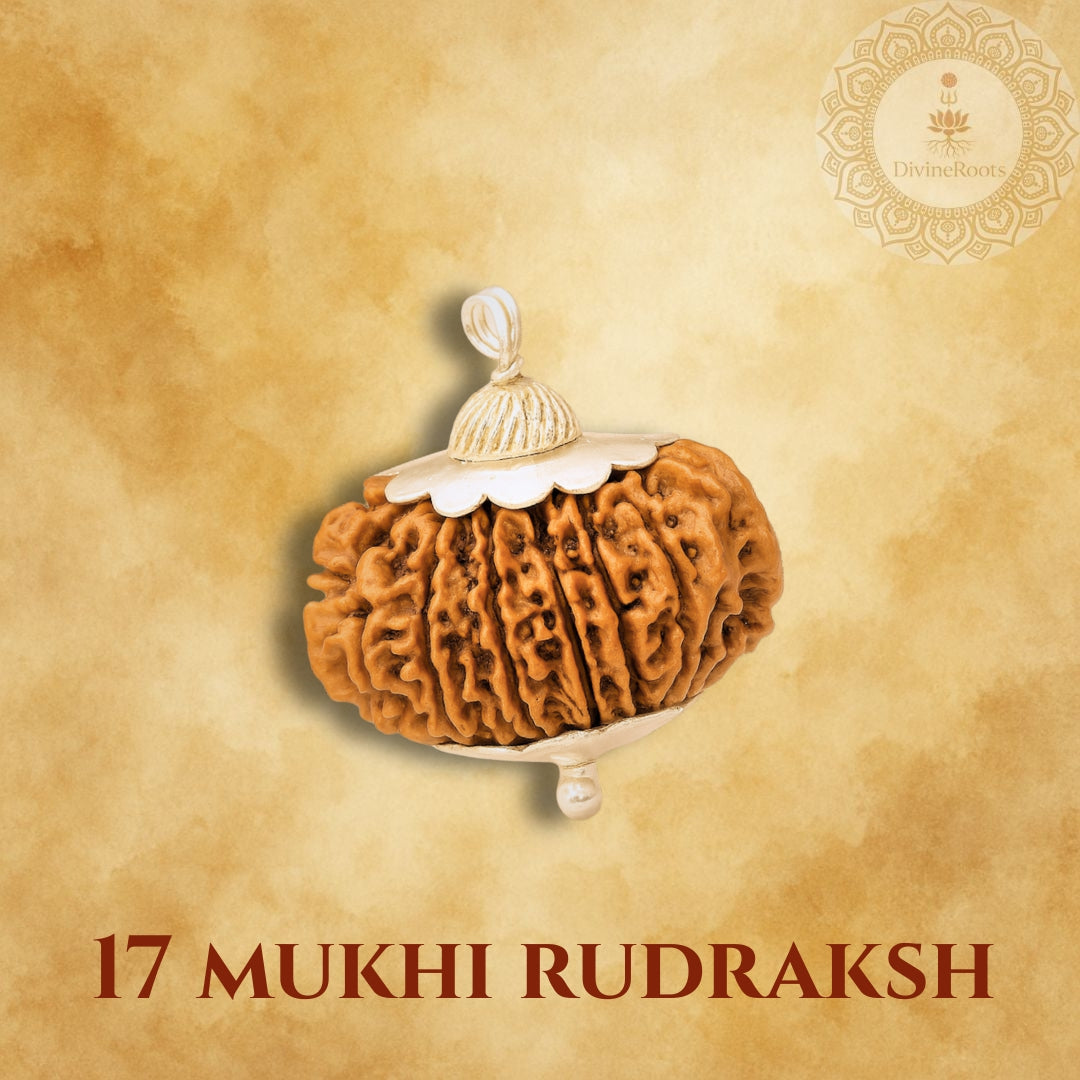 17 Mukhi Rudraksh pendant on a beige background with a brand logo.