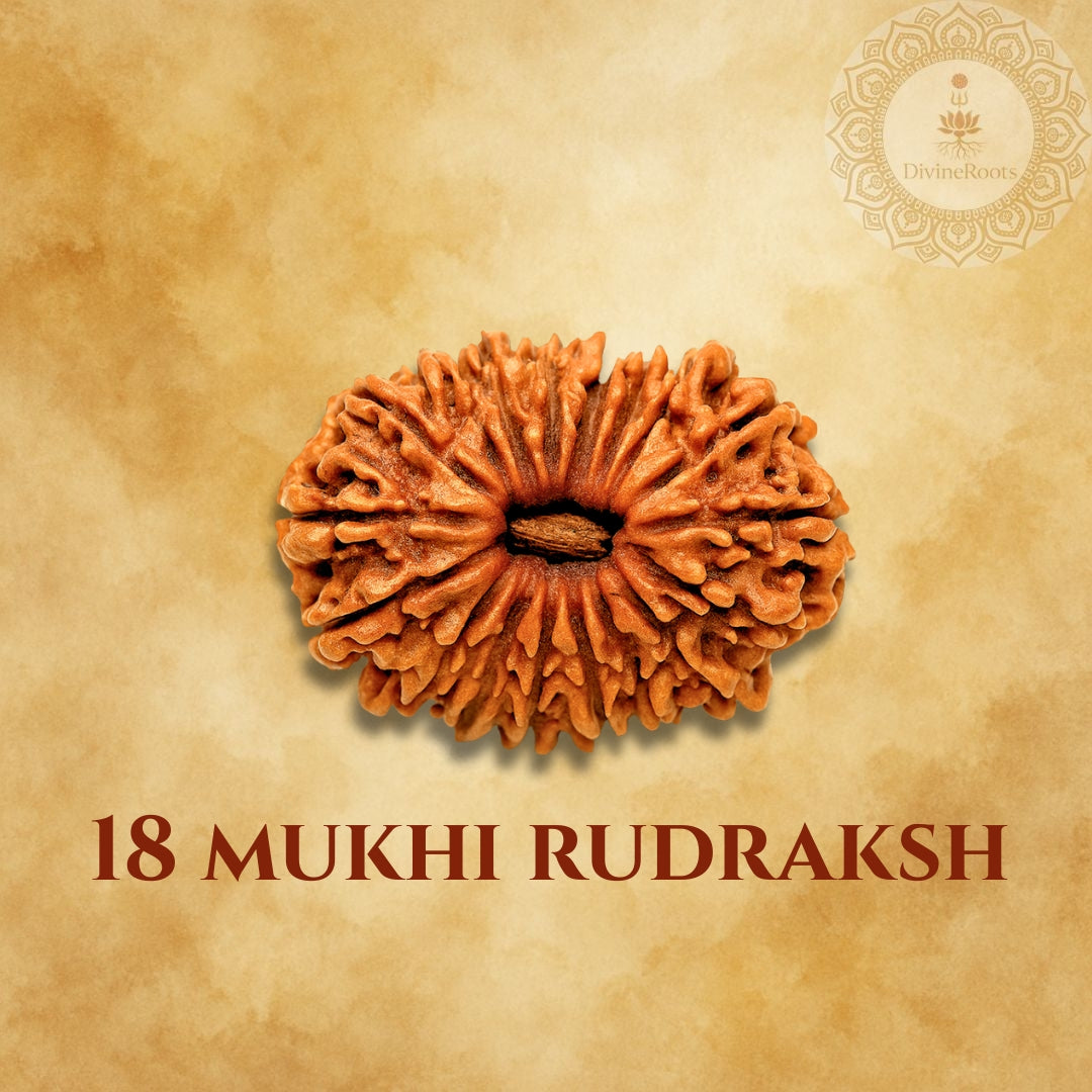 18 Mukhi Rudraksh on a beige background with a logo in the corner
