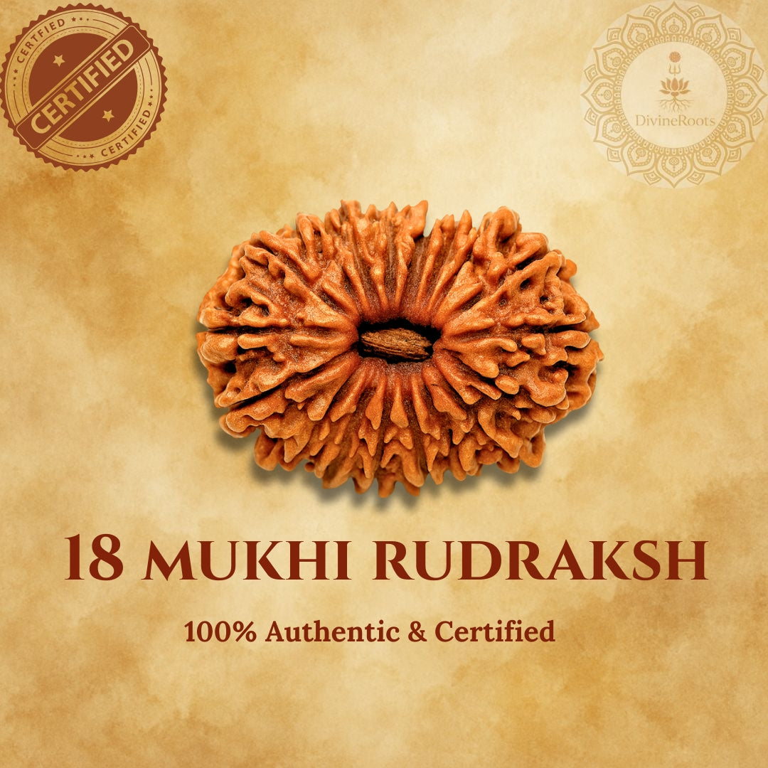18 Mukhi Rudraksh on a beige background with certification logos.