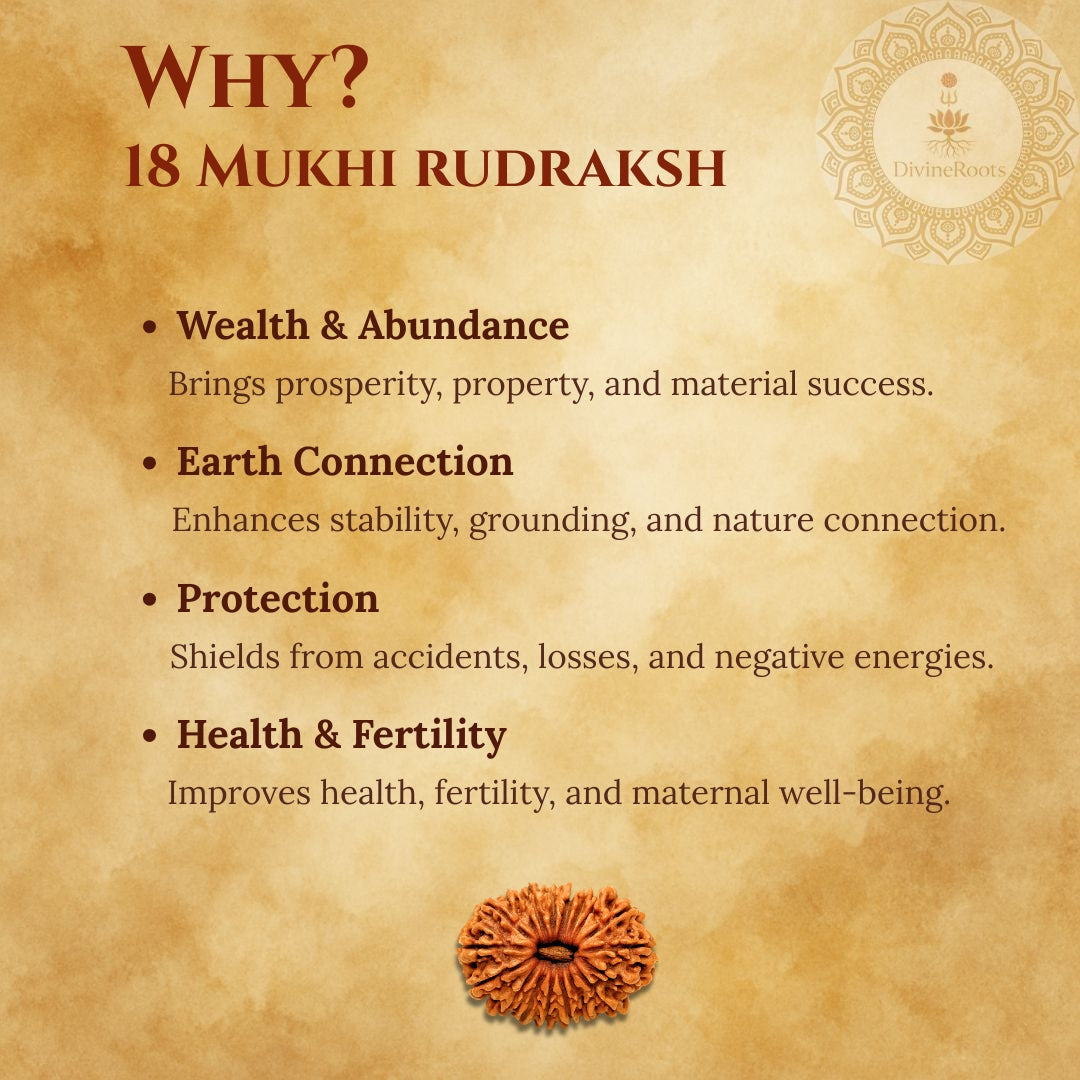18 Mukhi Rudraksh benefits on a textured brown background with Rudraksh stone illustration.