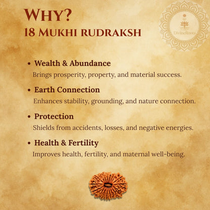 18 Mukhi Rudraksh benefits on a textured brown background with Rudraksh stone illustration.