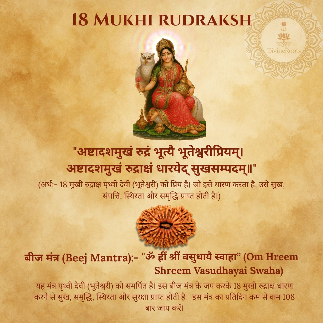18 Mukhi Rudraksh with goddess and owl on a textured background