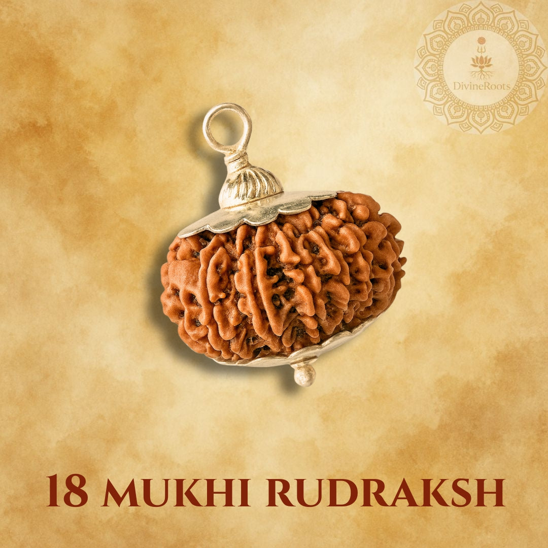 18 Mukhi Rudraksh pendant on a beige background with 'Divine Store' logo.