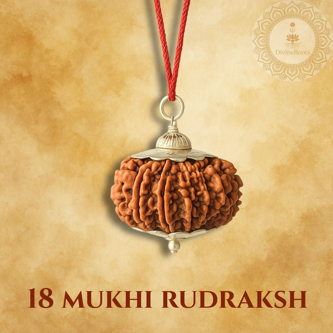 18 Mukhi Rudraksh pendant on a red string with a beige background