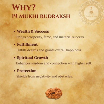 19 Mukhi Rudraksh benefits on a textured brown background with Rudraksh bead illustration.