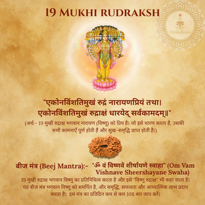 19 Mukhi Rudraksh with a deity illustration on a textured background