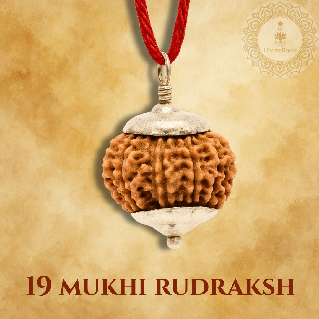 19 Mukhi Rudraksh pendant with red cord on a beige background