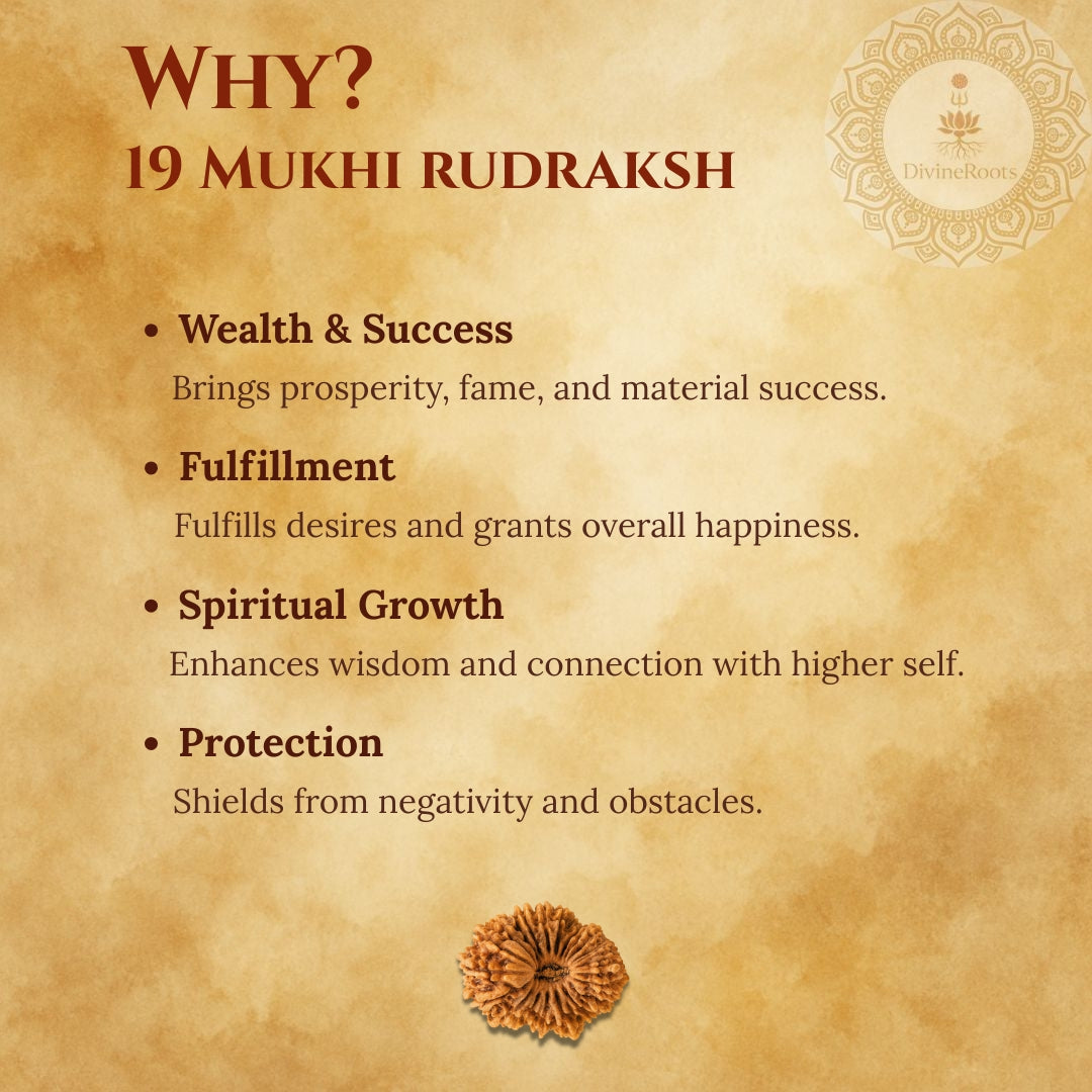 19 Mukhi Rudraksh benefits on a textured brown background with Rudraksh illustration.