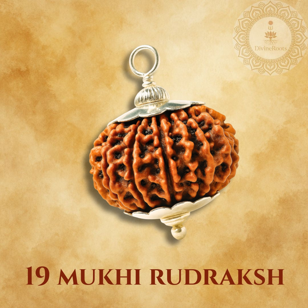 19 Mukhi Rudraksh pendant with silver setting on a beige background