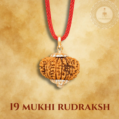 19 Mukhi Rudraksh pendant on a red cord with a gold clasp against a beige background.