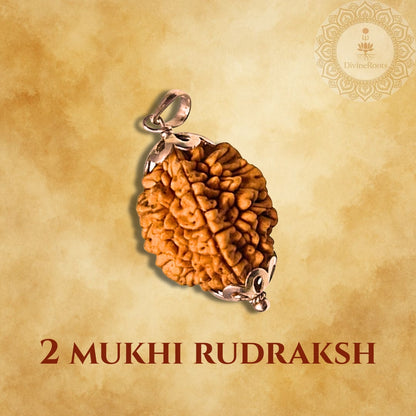 Two Mukhi Rudraksh pendant on a beige background with a brand logo.