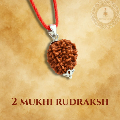 Two Mukhi Rudraksh pendant on a red cord with a beige background