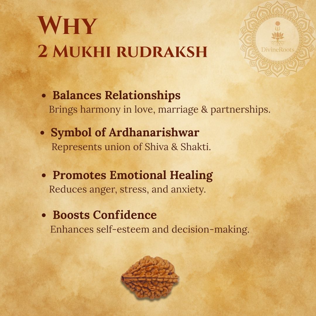 Promotional graphic about the benefits of 2 Mukhi Rudraksh with text and rudraksh symbol on a textured background.