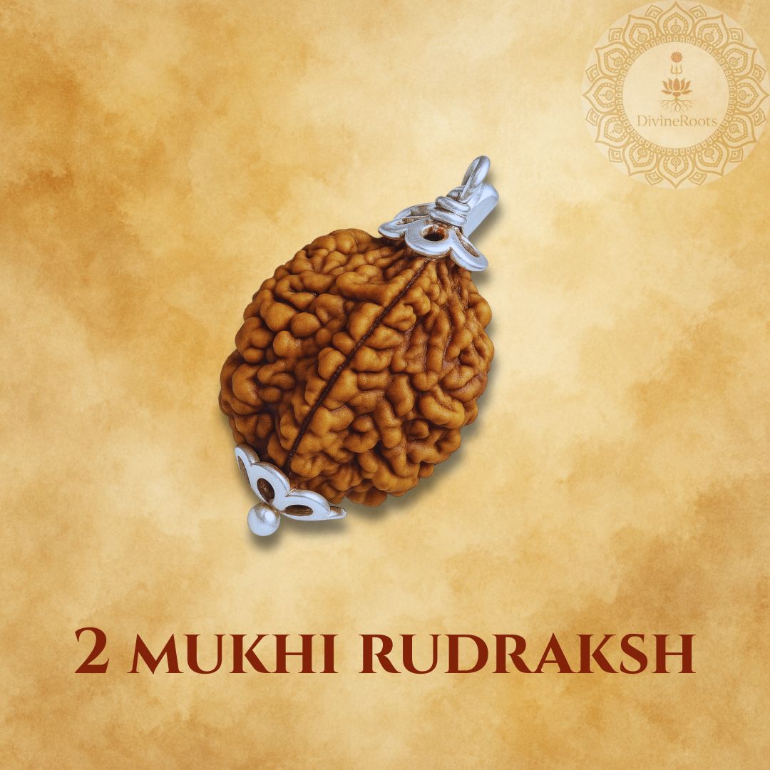 Two Mukhi Rudraksh pendant on a beige background with a brand logo.