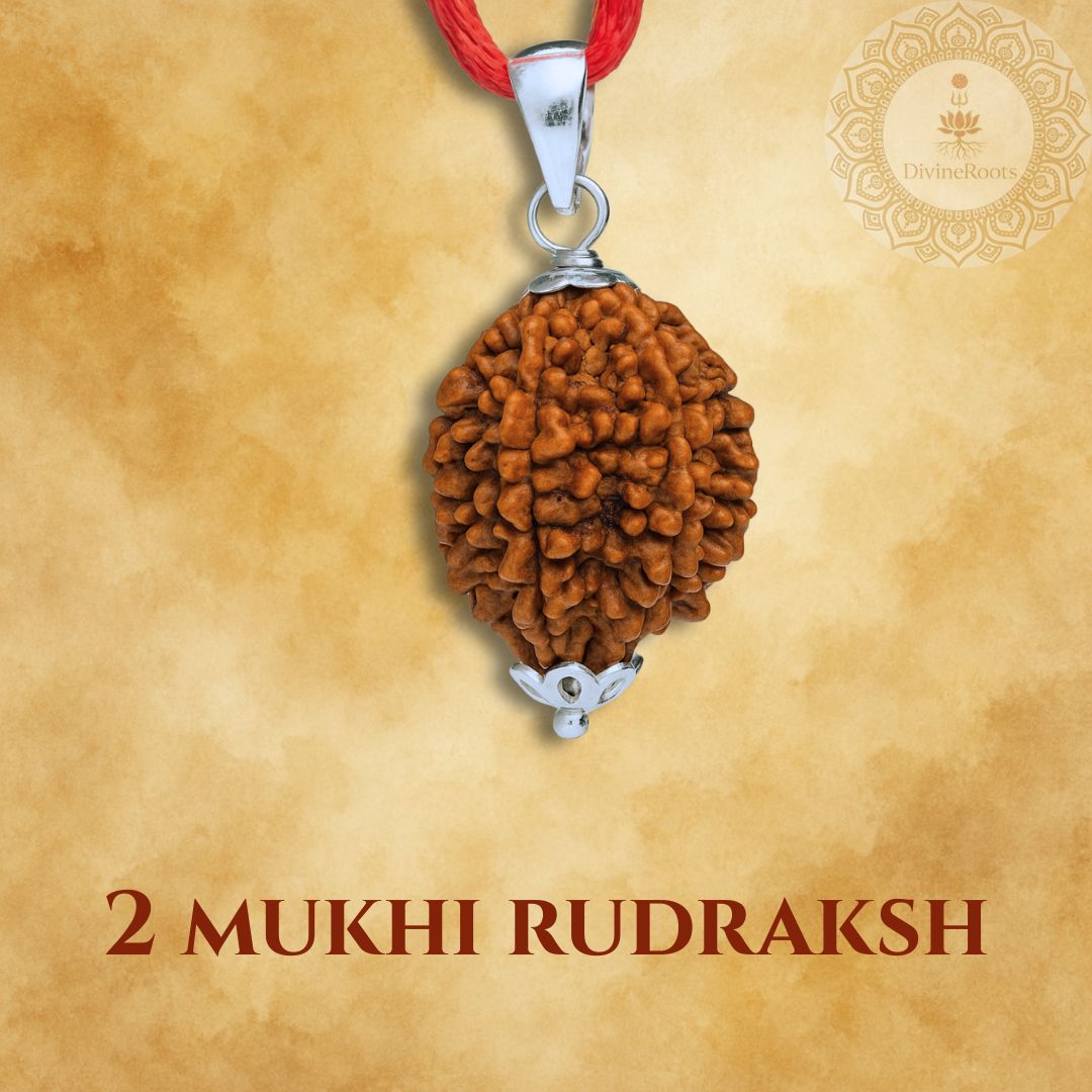 Two Mukhi Rudraksh pendant on a red cord with a beige background