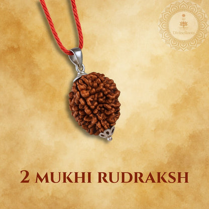 Two Mukhi Rudraksh pendant on a red string with a gold background