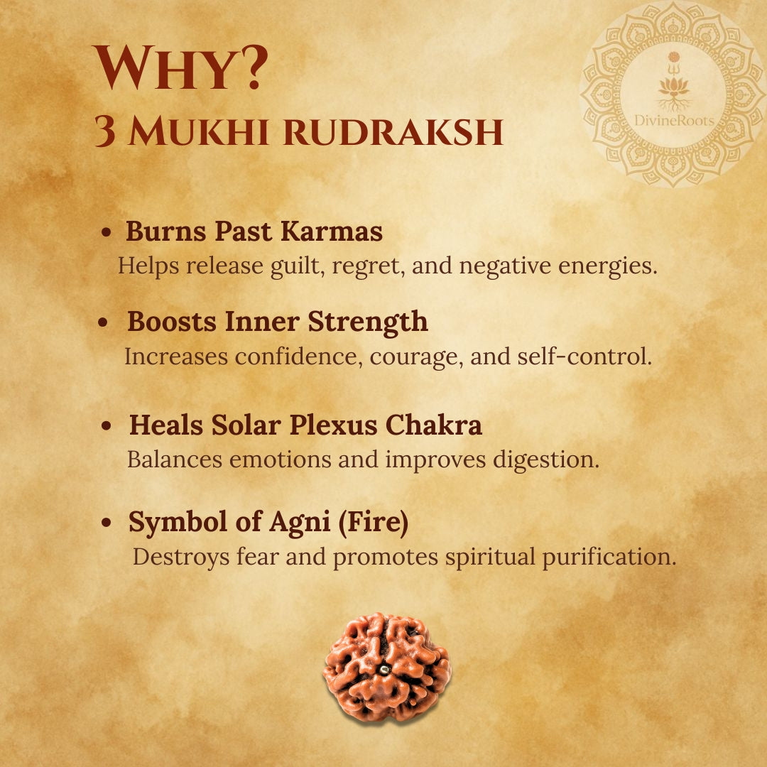 Informational graphic about the benefits of 3 Mukhi Rudraksh on a textured brown background.