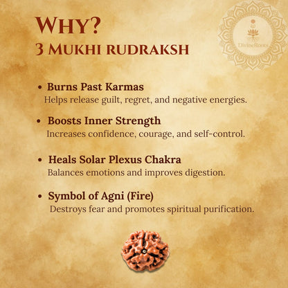 Informational graphic about the benefits of 3 Mukhi Rudraksh on a textured brown background.
