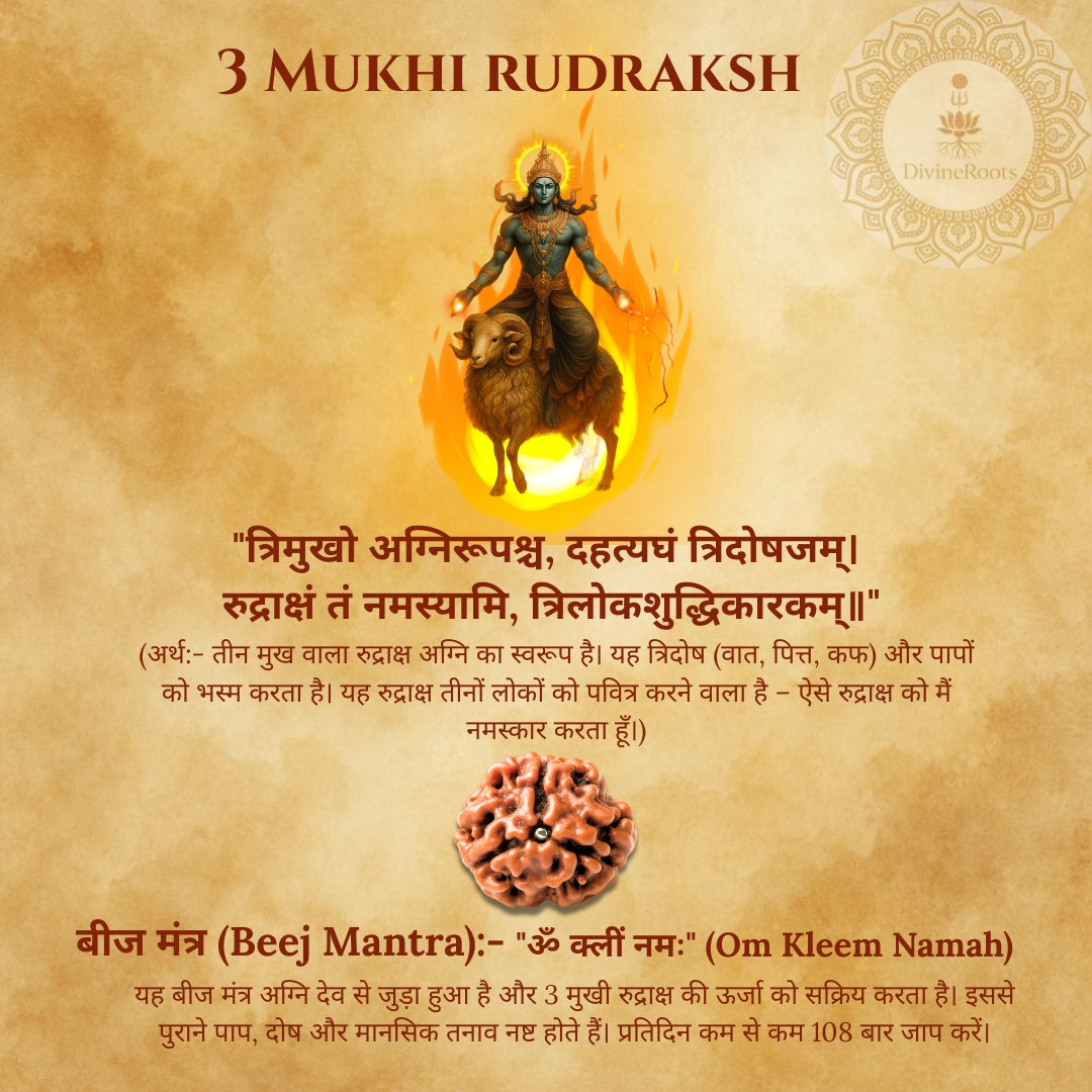 Three Mukhi Rudraksh with a depiction of Shiva on a lion, set against a textured brown background.