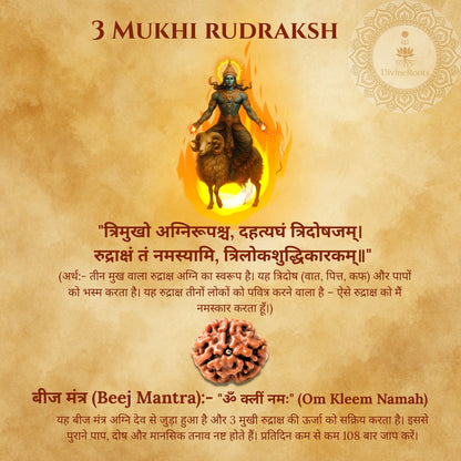 Three Mukhi Rudraksh with a depiction of Shiva on a lion, set against a textured brown background.
