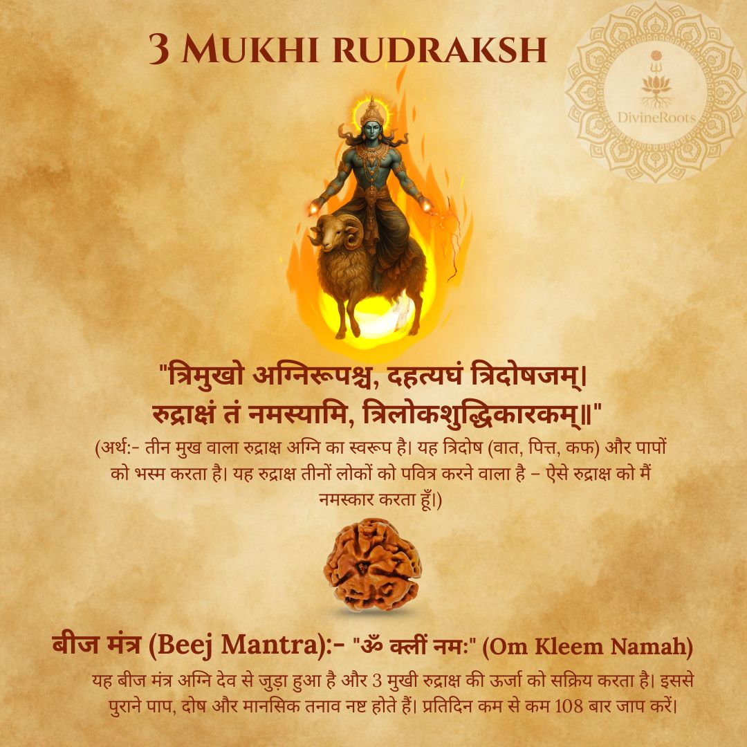 Three Mukhi Rudraksh with a depiction of Lord Shiva on a lion, set against a textured brown background.