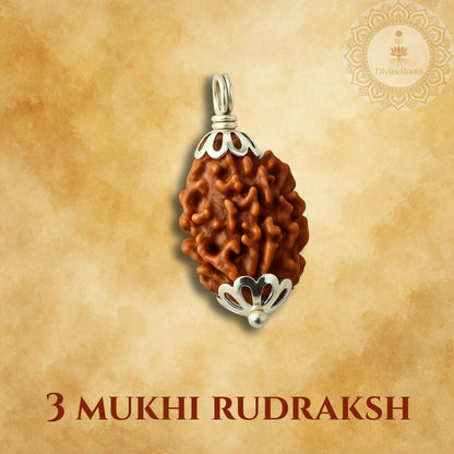 Three Mukhi Rudraksh pendant with silver setting on a beige background