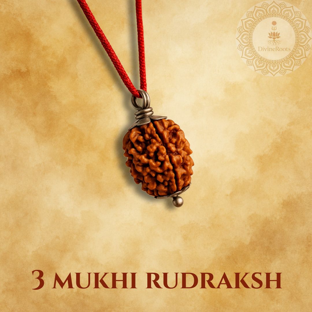 Three Mukhi Rudraksh pendant on a red cord with a beige background